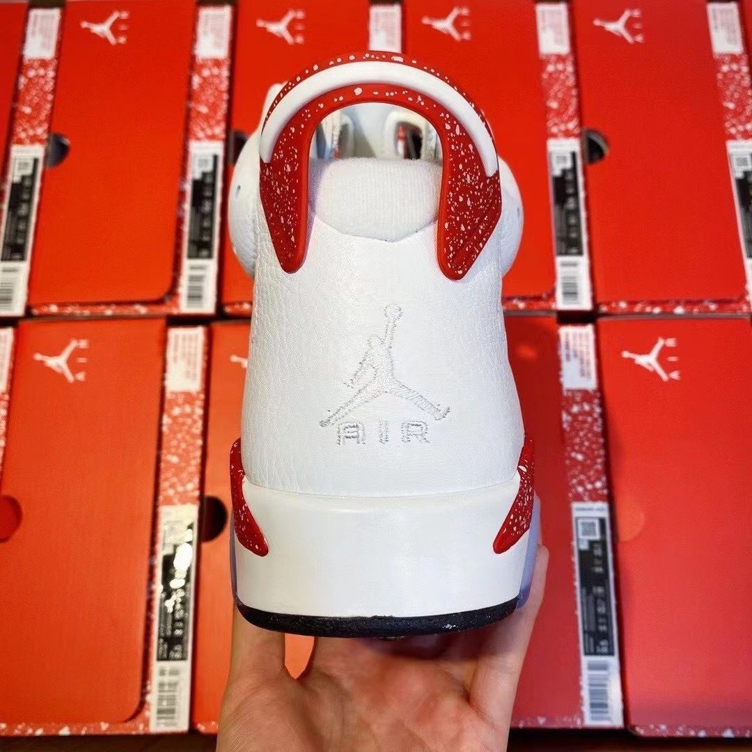 Air Jordan 6