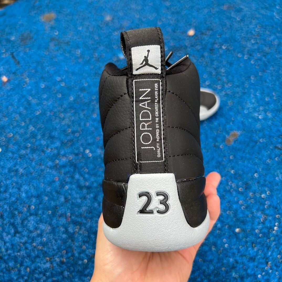 Air Jordan 12