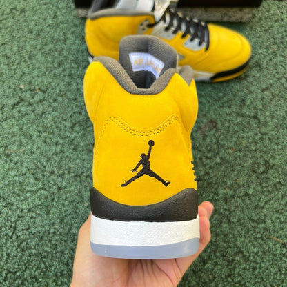 Air Jordan 5