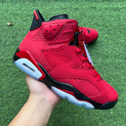 Air Jordan 6