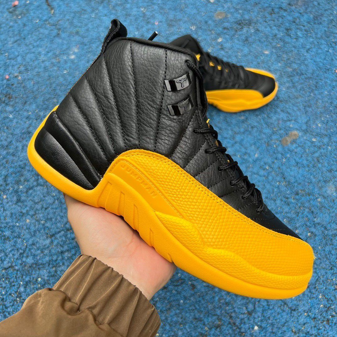 Air Jordan 12