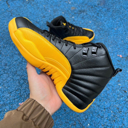 Air Jordan 12