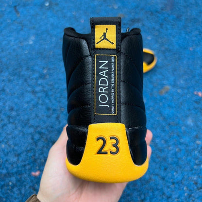 Air Jordan 12