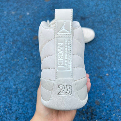 Air Jordan 12
