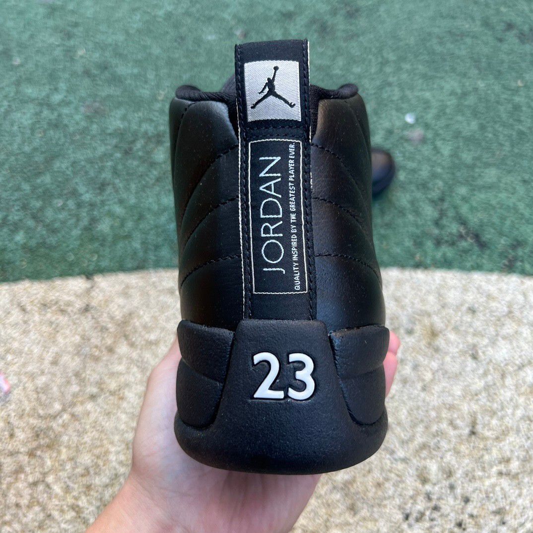 Air Jordan 12